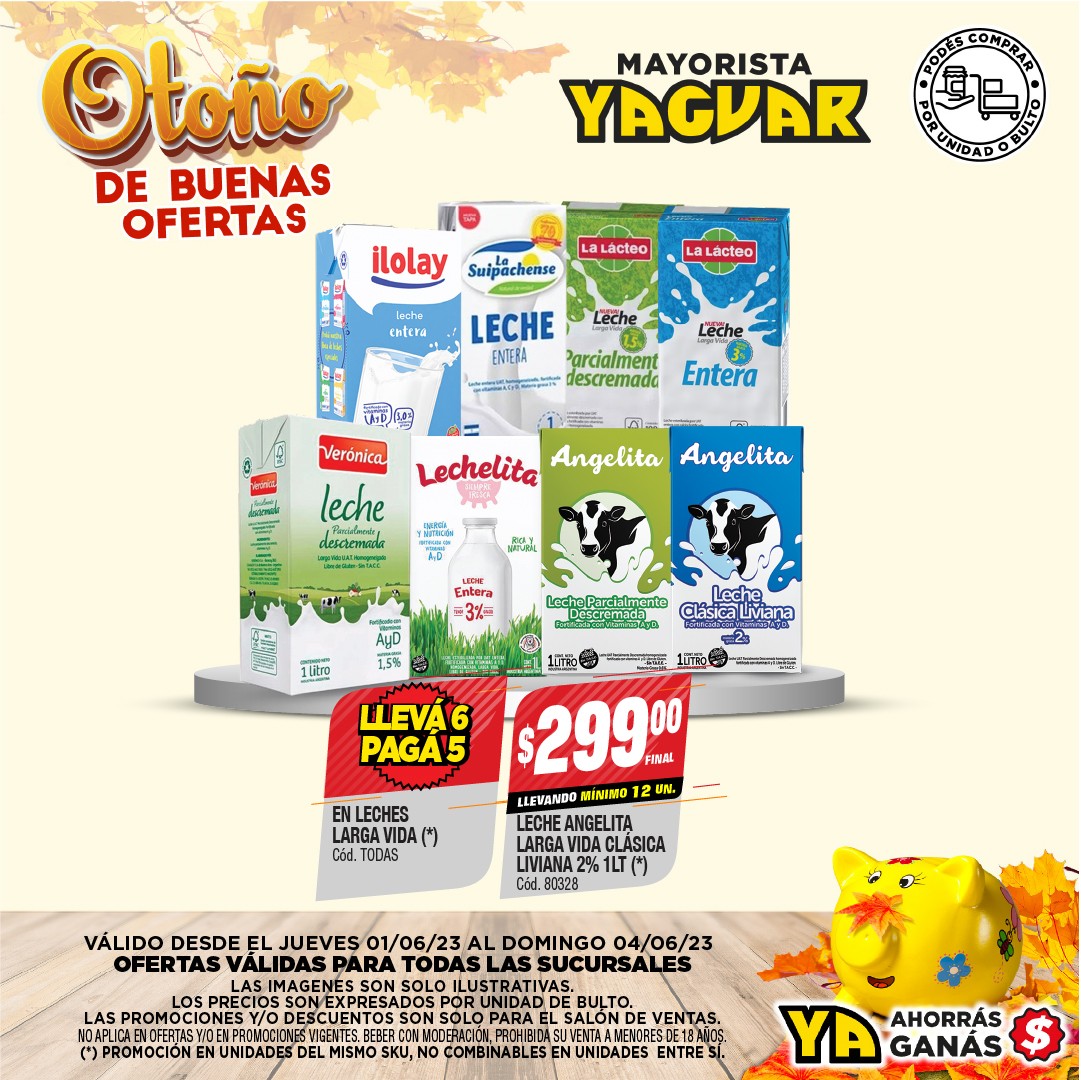 Inicio