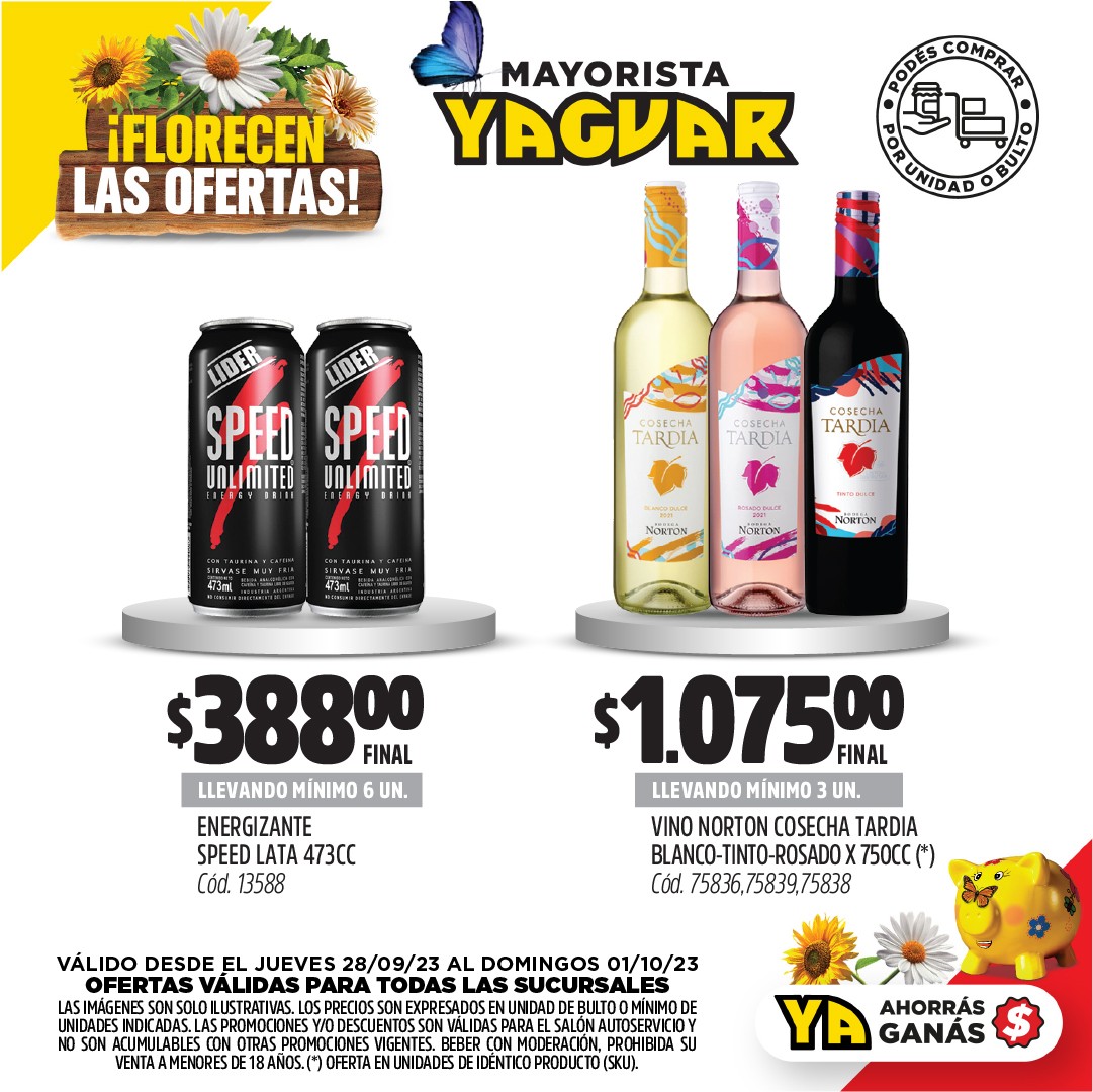 Inicio