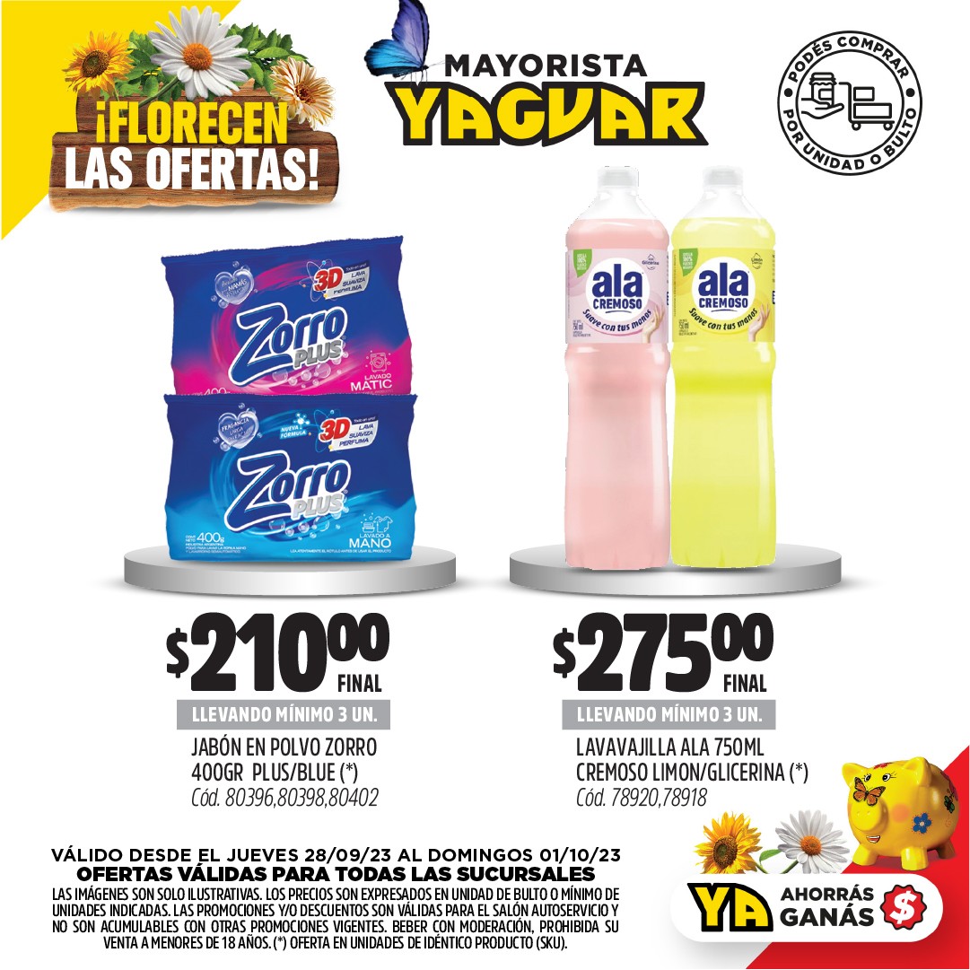 Inicio