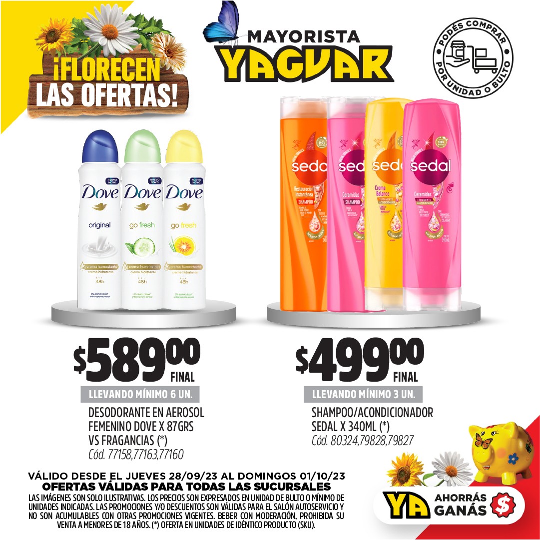 Inicio